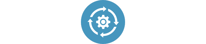 Realising project management approaches in practice